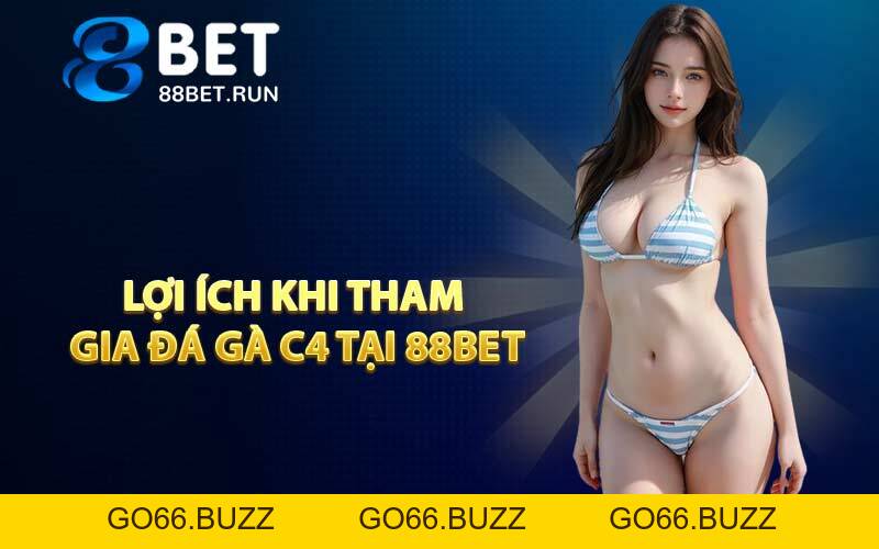 Đá Gà C4 - Trực Tiếp Các Trận Cầu Đỉnh Cao Gay Cấn